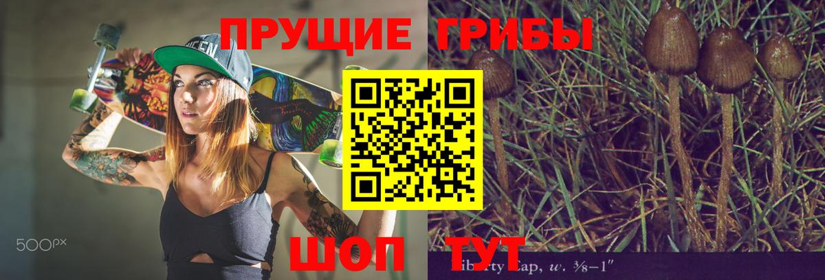 Шумерля  Псилоцибиновые грибы Magic Shrooms  Галлюциногенные грибы мицелий  Вход с VPN 